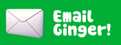 Email Support